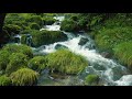 [Healing] Japan's beautiful river water and fresh greenery full of nature (Okudaisen)