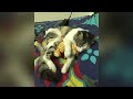 Penny the Cat - Lovely Play Collage