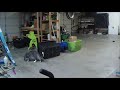 Floki sneaking into the garage
