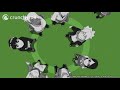Boruto Ending 1 | Dreamy Journey (HD)