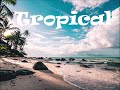 FREE Tropical type Beat 