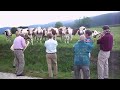Jazz for Cows