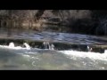 The Water Crossing (potential stock footage)