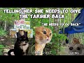 CAT MEMES:  FAMILY VACATION BOHOL COMPILATION