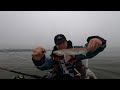 Sea Fishing UK - Kayak Fishing for Hounds And Bass At Eastbourne