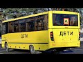 Разновидности и модификации автобусов МАЗ | Bus 