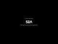 SEA (STRINGS EVOCATIVE ARRANGEMENTS) teaser, Luca Francioso