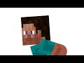 Steve test