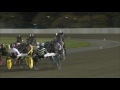 Always B Miki - Breeders Crown H&G Open Final