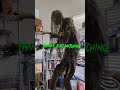 Spirit Halloween 2022 Bog Zombie Animatronic Review