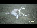 theHunter Call of the Wild - Perfect 1000 Diamond Blacktail!