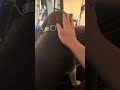 Petting my beagle