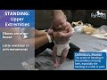 1 Month Baby Motor Assessment for Typical Development