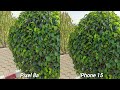 Google Pixel 8a VS iPhone 15 Camera Test Comparison