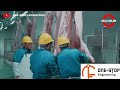 See How Amazing Pig Slaughterhouse Works - Pork Processing Process in Modern Factory