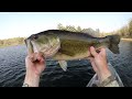 Wacky Wormin’ Big Spring Bass!