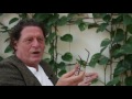 Marco Pierre White talks food, fame and why he hates being called a 'celebrity chef'
