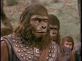 PLANET OF THE APES | Collector's Preview [2003]