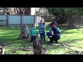 Gede Utariana and Delia try to feed Kangaroo