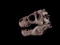 Sculpting the Most Iconic of Dinosaurs: Tyrannosaurus Rex Skeleton! ZBrush timelapse