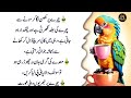 Golden Words In Urdu | Motivational Quotes | Aqwal e Zareen | Positive Quotes About Life |JN writes