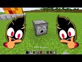 BATALHA DE CONSTRUÇÃO DE DIVERTIDA MENTE DE NOOB vs PRO NO MINECRAFT