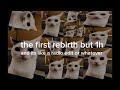 the first rebirth 1 hour and radio edit idk