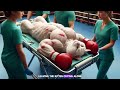 Story Poor Pregnant Cat - Heart breaking #cat #cute #catlover #catvideos #cutecat #aiimages #aicat