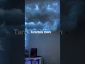 Tarantula room ❤️ 🕷 #tarantula #tarantulas #room #ledlights