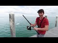 This GIANT Dock Fish EXPLODES $700 Fishing Rod (Florida Send DAY 1)