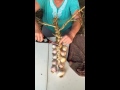 Garlic braiding