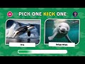 Pick One Kick One Animals - Quiz World Z