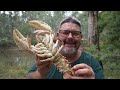 Crayfish Catch And Cook |How To Catch, Cook, Shell And Eat Crayfish