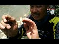 Viral, umpan jitu mancing galatama lele || strike ikan keli monster mancing di sungai liar