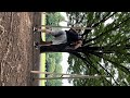 My train at the park. calisthenics and athletic