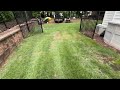 Zoysia Grass   My shady backyard testing