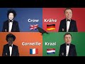 Word Pronunciation In Different Languages