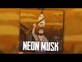 Neon Musk - The FULL Soundscape Album [Jingle Jam 2017 Hat Films Improv Album]