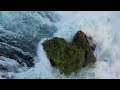 Roaring Waterfall White Noise