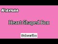 Nirvana - Heart Shaped Box (Cover)