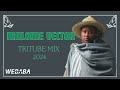 🕊🕊 Malome Vector Tribute Mix 2024🕊🕊| Dj Webaba