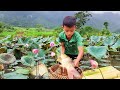 Orphan Boy Built His OwnBanana Tree Boat to CatchGiant Carp at Dam Sen forSale