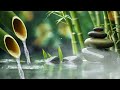 Relaxing Music 24/7, Stress Relief Music, Sleep Music, Meditation Music, Study, Calming Music