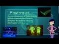 Mission1: Incandescent and Phosphorescent light