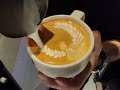 20 different style of basic latte art 🦢🌿