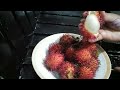 Peeling RAMBUTAN