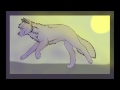 Wolf run Animation (Paint Tool Sai)