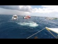 El encuentro con el Tiburón Ballena - Isla Mujeres -México