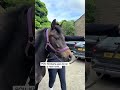 horses saying goodbye for the last time!! 💔🥹 #equestrian #viral #edit #youtube #horse