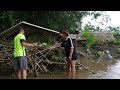 Flooded Farm - Mai lost everything after the historic flood - Disaster recovery | Lý Mai Farmer